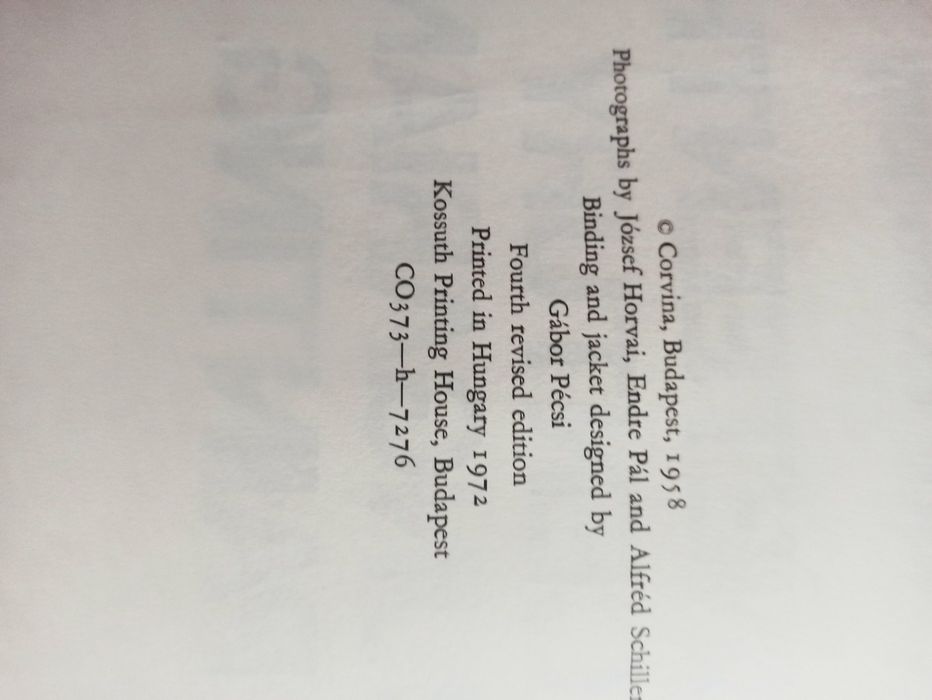 Габор, Погань Венгерская живопись 19 века