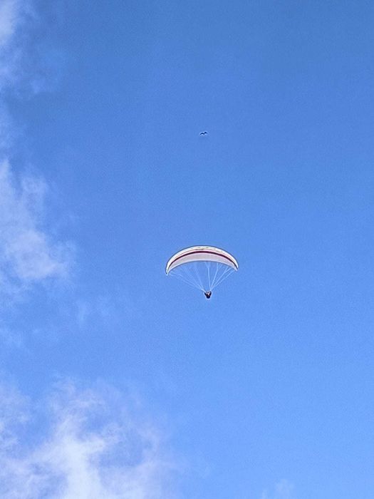 Parapente - Asa Astral 6 da Swing, size: M