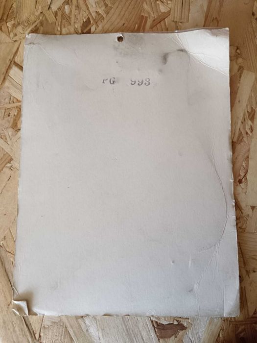 All Parts PG 993 White Pickguard plain closed. Vintage