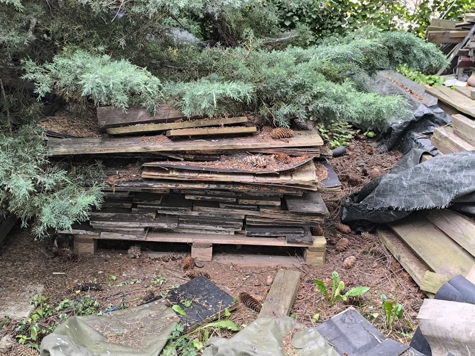 Oddam sklejkę szalunkową i drewno