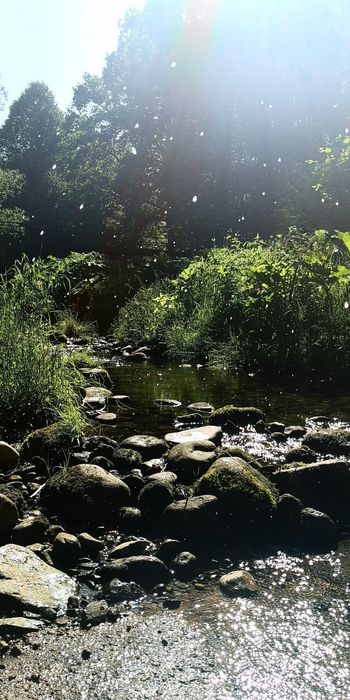 Domek 4 osobowy w Karpaczu/wakacje/panieńskie itp.