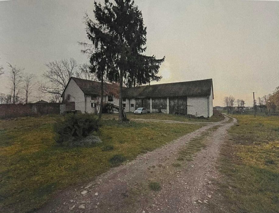 Dom, budynek gospodarczy i grunty rolne