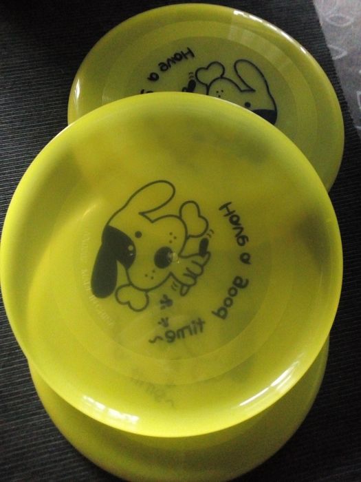Discos de plástico (training dog)