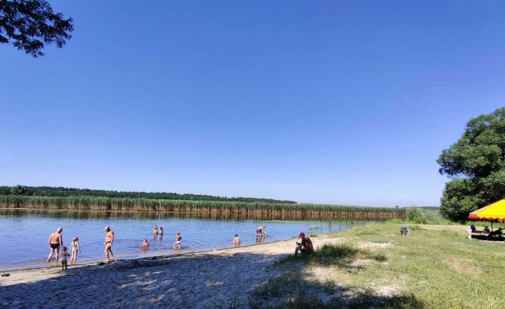 Ділянка 8 сот Тимченки 2 500(169106)