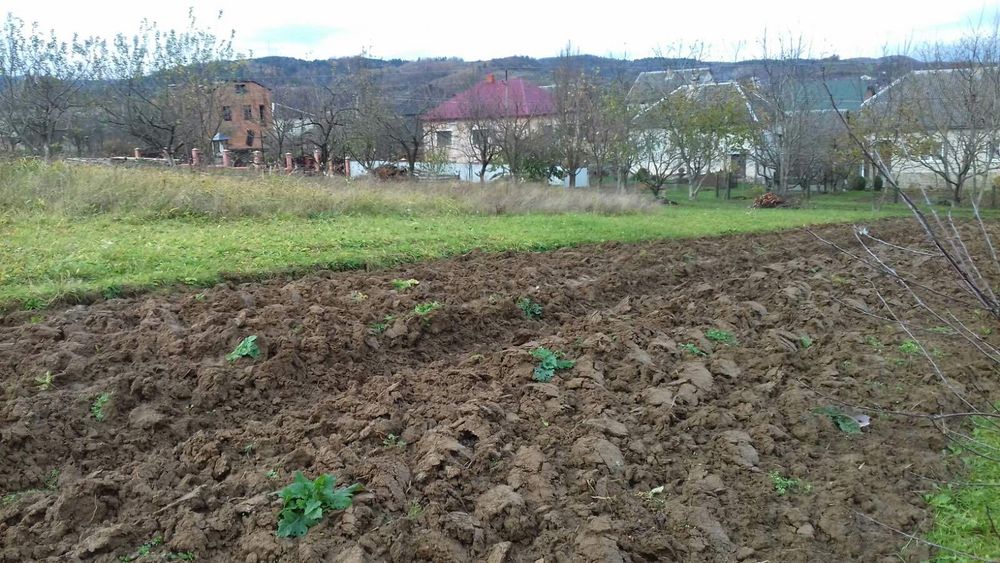 Продам земельну ділянку