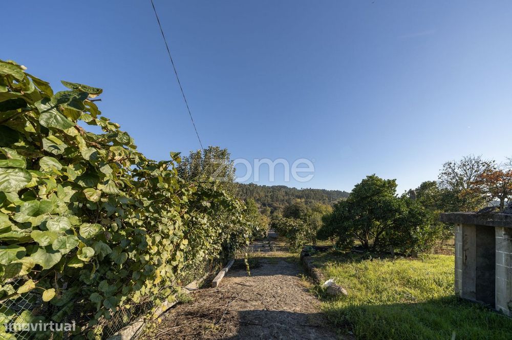 Terreno com 7852 m2 em Torre - Amares