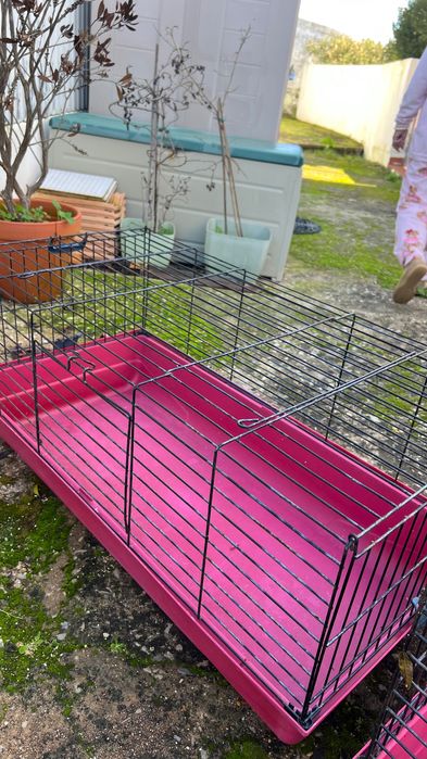 Gaiolas de coelho