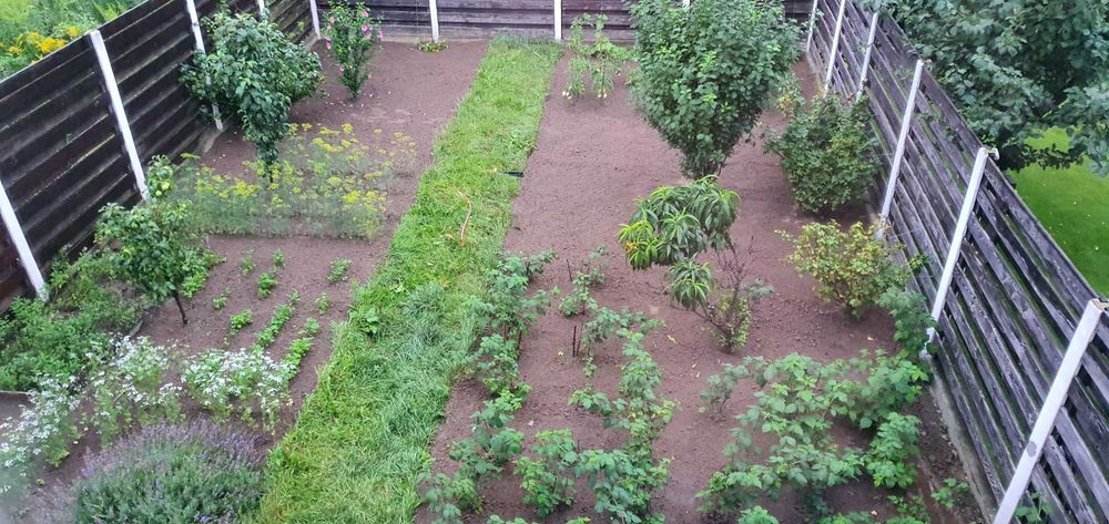 Продам дом с. Новое