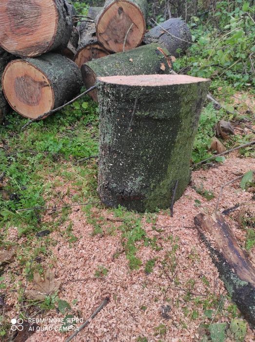 Продам Дрова Твёрдых пород