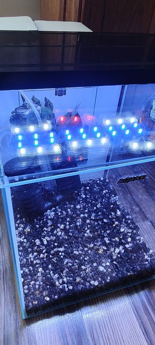 Akwarium krewetkarium kostka 30L 29x29x35