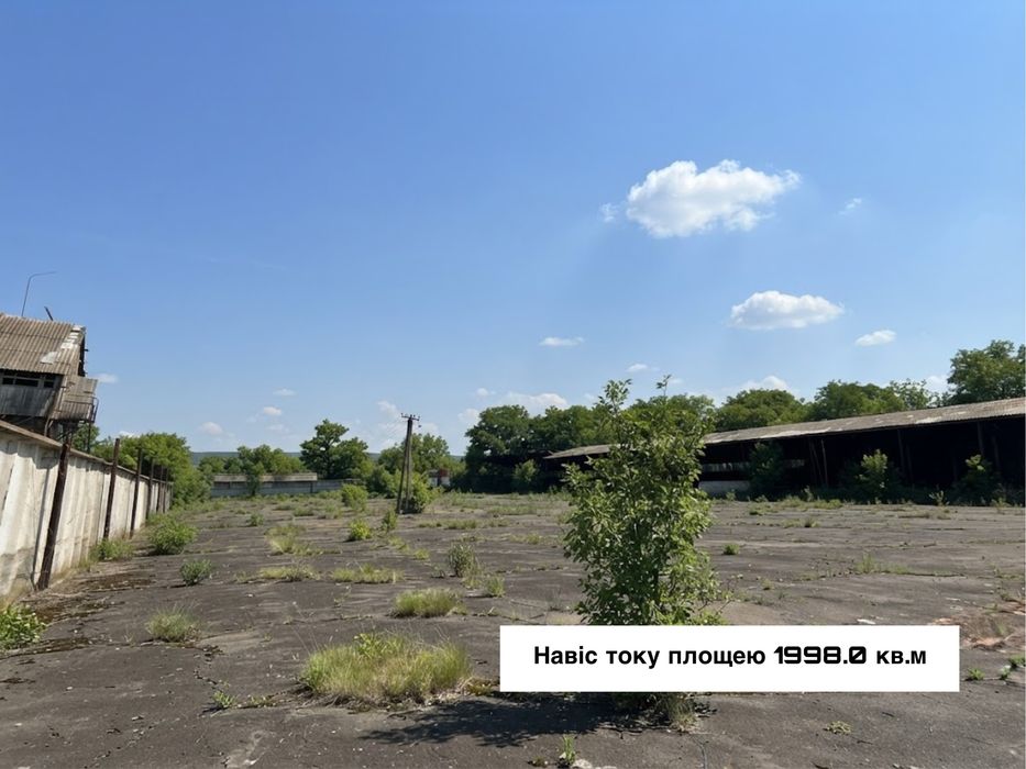 Продається цілісний майновий сільськогосподарський комплекс  в с.Познанка Перша