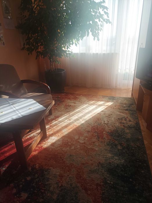 Dywan z wełny nowozelandzkiej