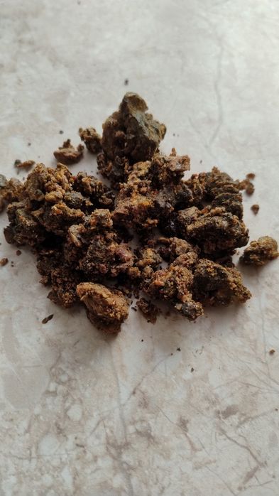 Kit pszczeli, propolis.2025