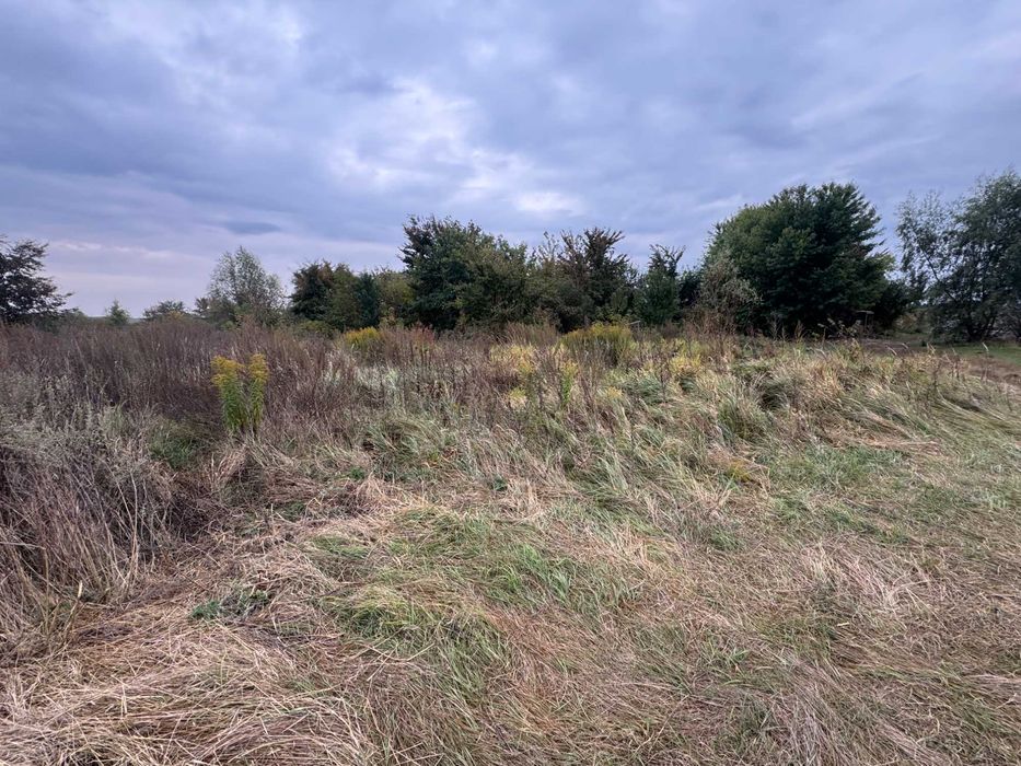 Продам участок 8 сот, дачне будівництво, перша лінія води, с. Зазим’я