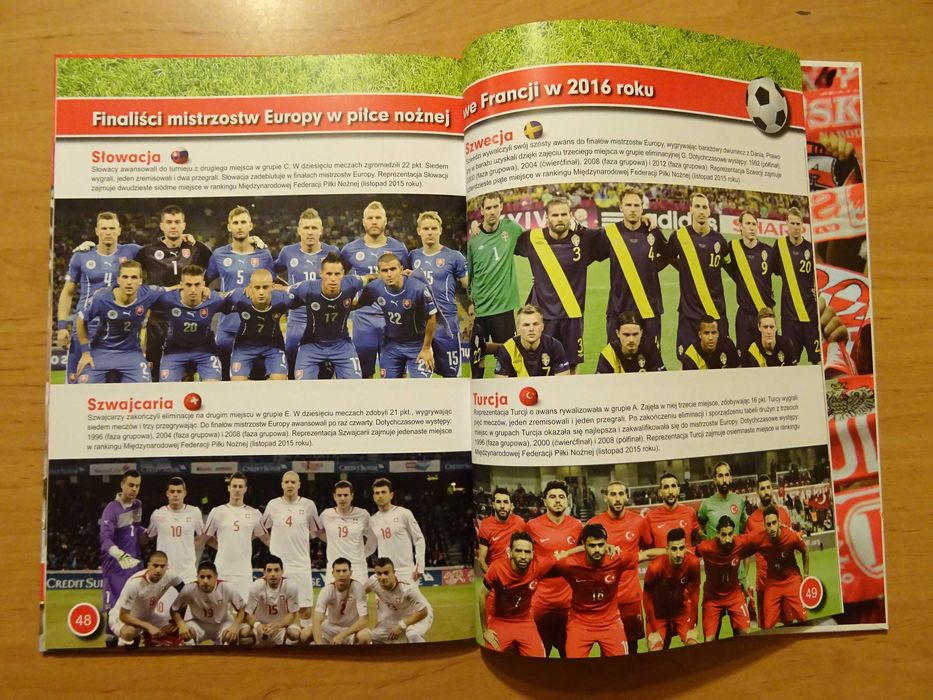 Przewodnik Kibica Francja 2016