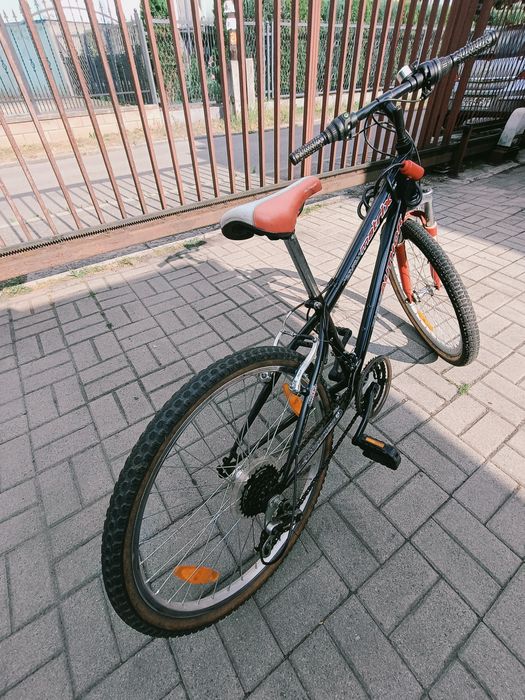 Rower author matrix sx