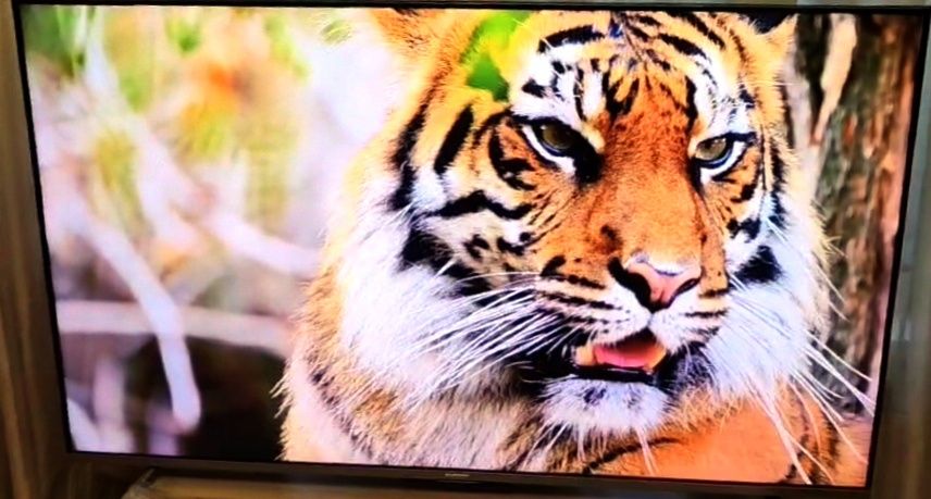 Qled Xiaomi Q1E(Android 11,2/32)