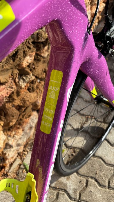 Bicicleta berria (estrada/carbono)