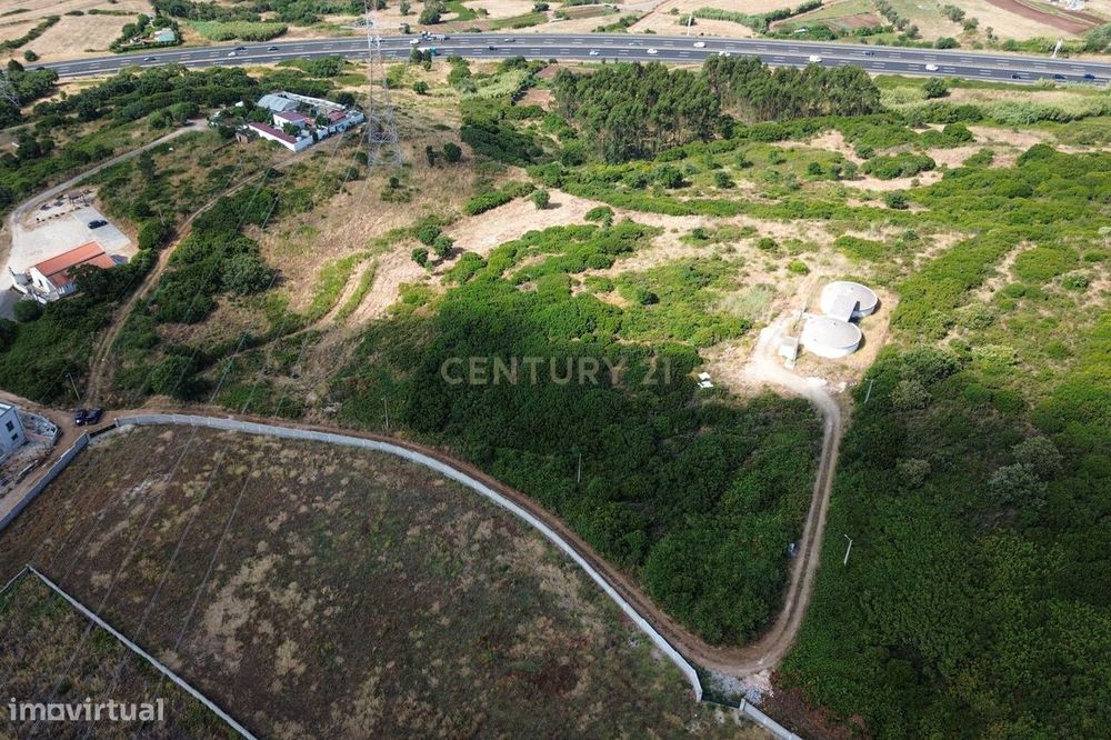 Terreno com Potencial Agrícola e Ambiental | 11.580 m² – Murteira