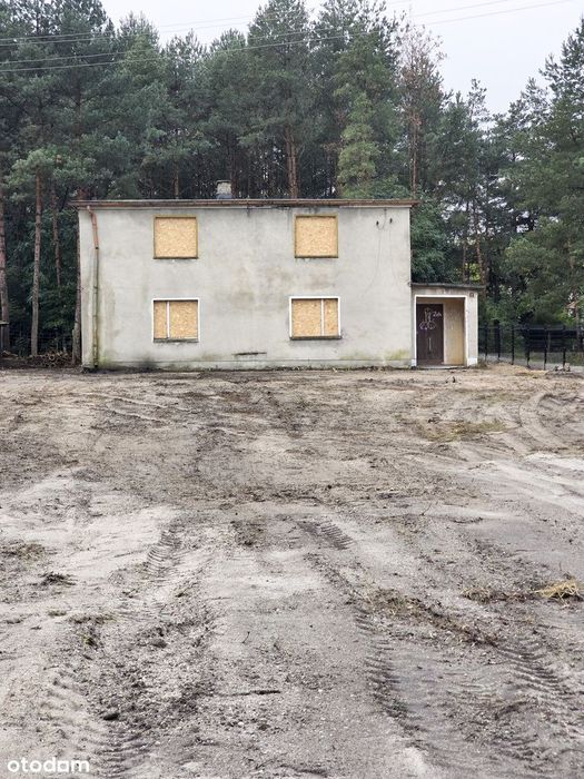 Dom wolnostojący na dużej działce wśród zieleni.