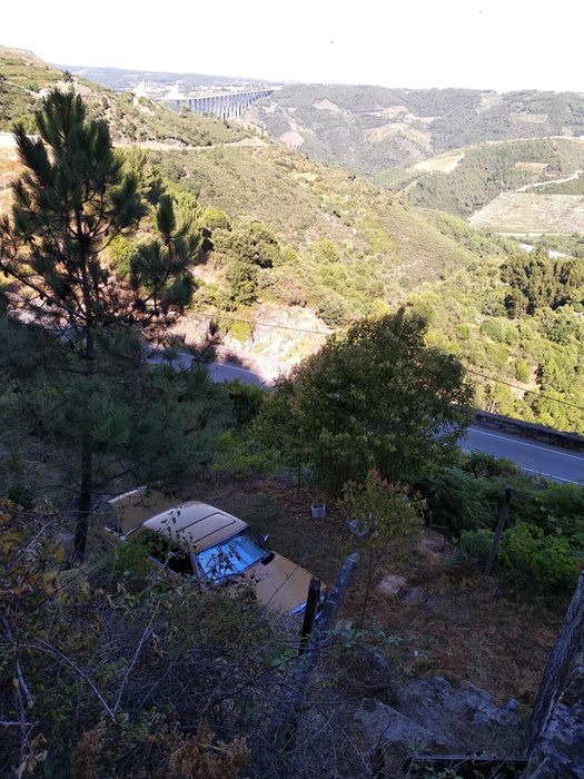Terreno com 1,2 Hectares e Ruína em Pedra (225m²) – Parada de Cunhos, Vila Real