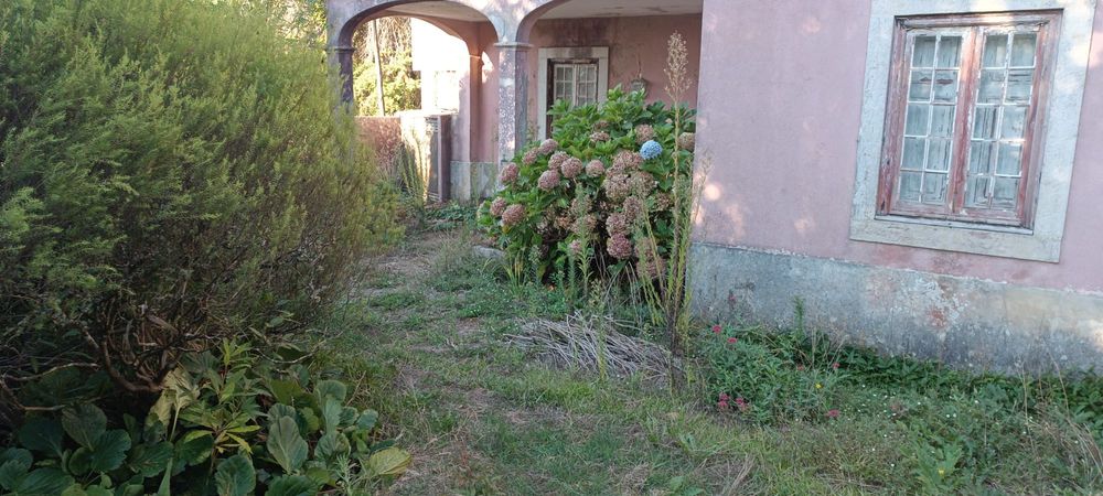 Limpeza de jardim e terrenos