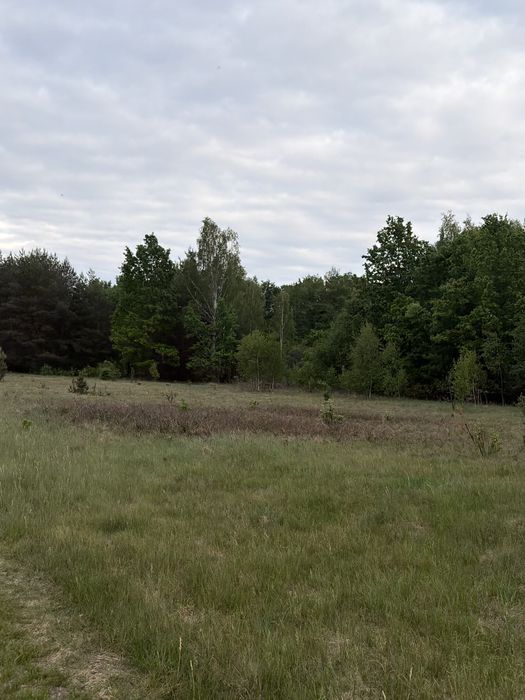 Działka rolno-leśna 2,43 ha | Nowe Wągrodno | 30 km od Warszawy - Widok 5