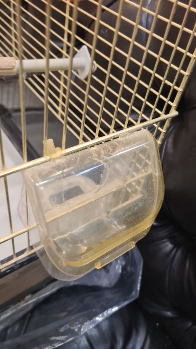 Клетка для птиц с перегородокой