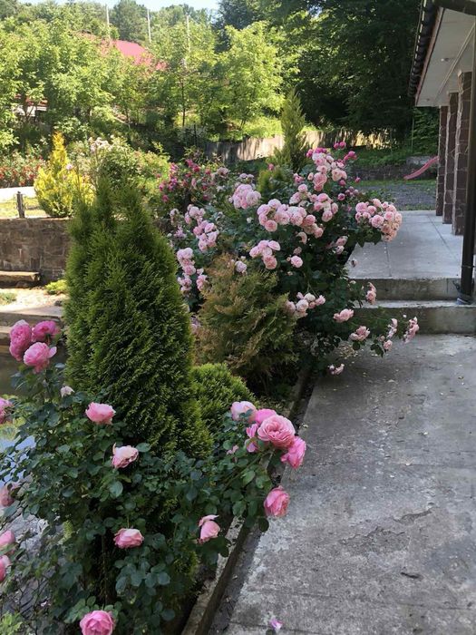 Подобово будинок в с. Шаян Закарпатье Карпати Велятино