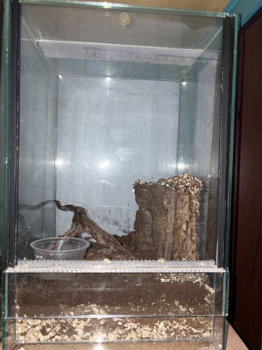 terrarium 40x25x25 z wystrojem