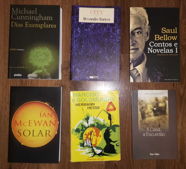 Livros Cunningham, Bellow, McEwan, Amis, Peixoto, Paixão