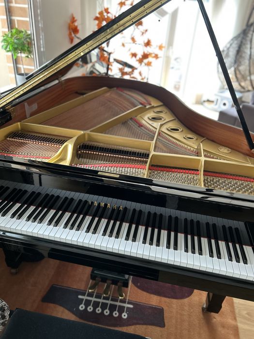Yamaha G3 grand piano piano de cauda grandpiano com banco