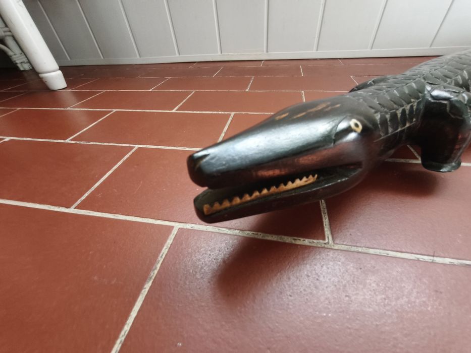 Crocodilo pau preto