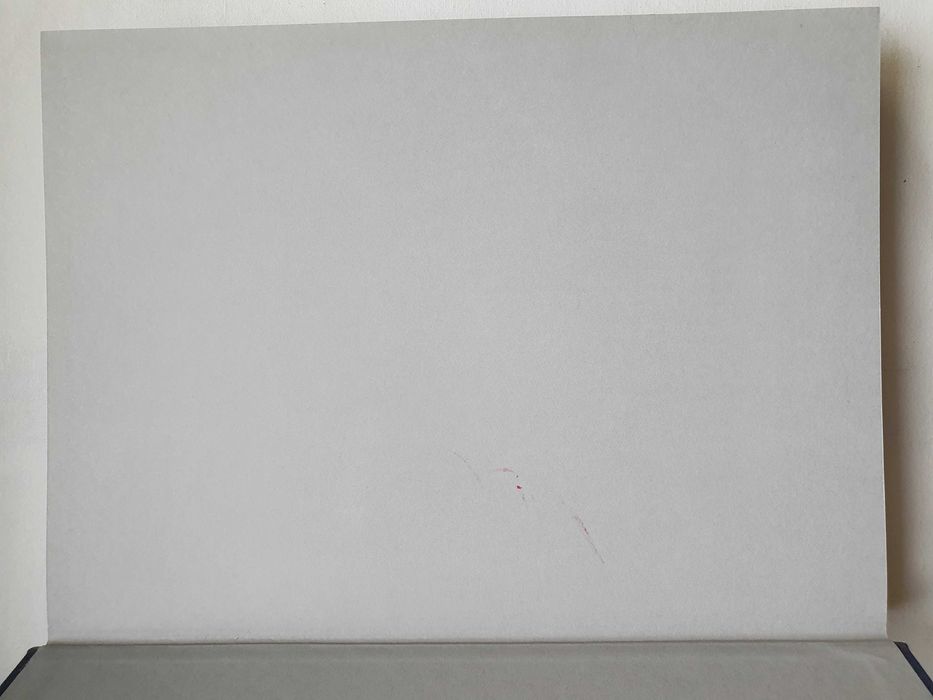 Lwów Dzieje Miasta - Ryszard Jan  Czarnowski , Eugeniusz Wojdecki