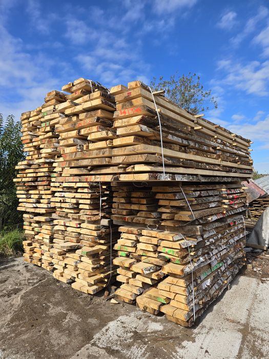 Tarcica brzozowa, brzoza