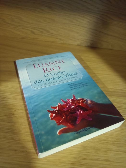 Vendo o livro: O verão das nossas vidas