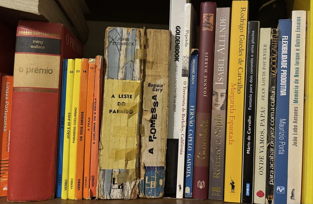 Vários livros - à unidade