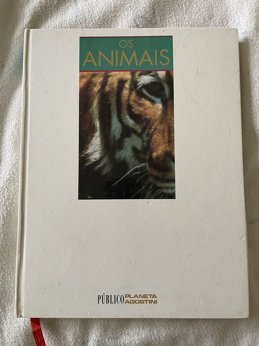 Livros (temas: Salvador Caetano, Joaquim Nabuco, navegadores, animais)