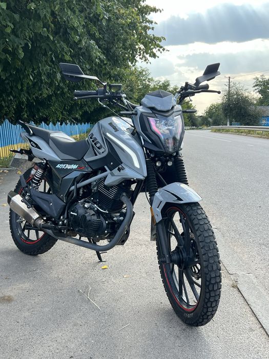 Musstang 200-9 2025