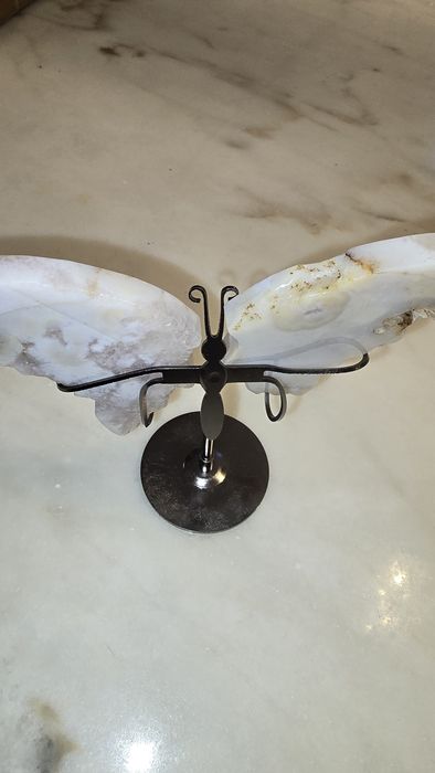 Borboleta agata flor