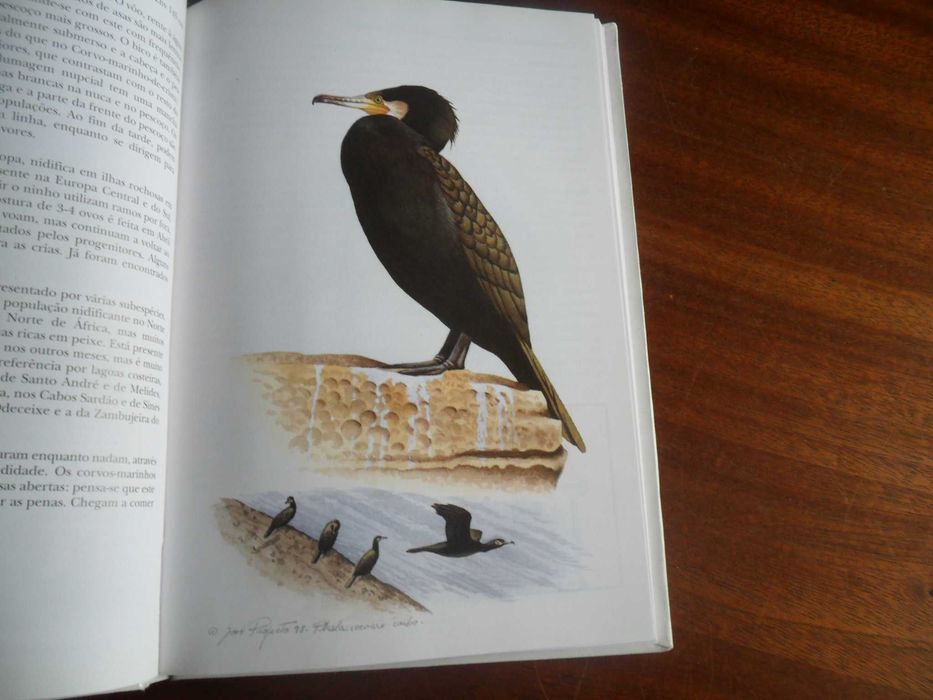 "Aves da Costa Alentejana" de José Projecto e Miguel Lecoq -1ª Ed 1998