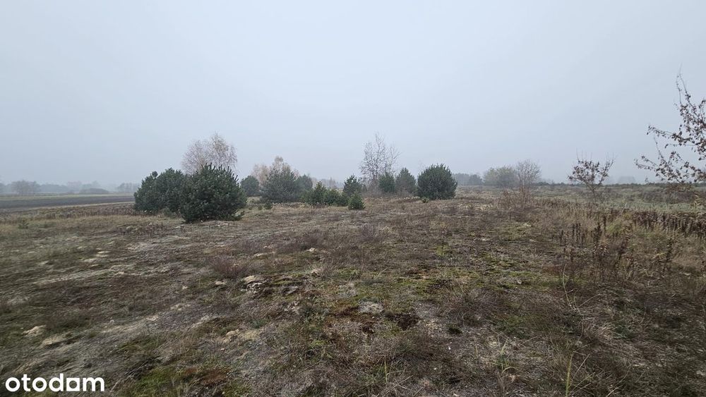 Działka o powierzchni 16800 m2