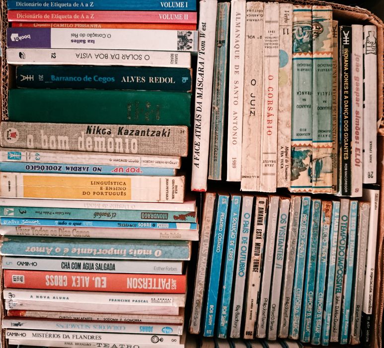 Lote  de  Diversos  LIVROS  Usados ( 3 ) velharias