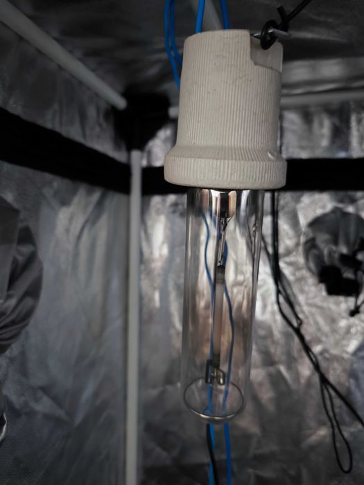 Estufa horta usada com acessórios incluídos