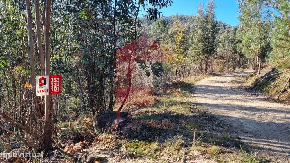 Terreno em floresta de produção, Gondiães