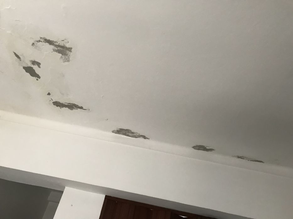 Pladur, pinturas exterior, interior