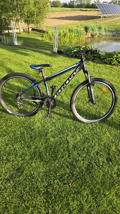 Kross hexagon rama 14