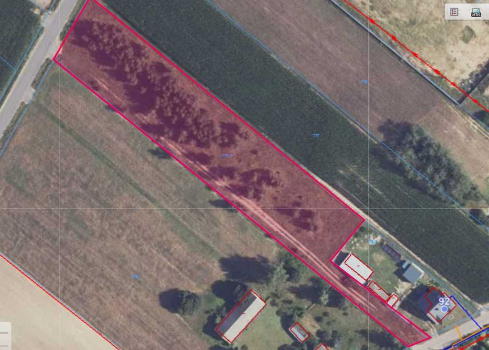 Działka 5200 m² – Sinogóra, gm. Lubowidz – z potencjałem zabudowy