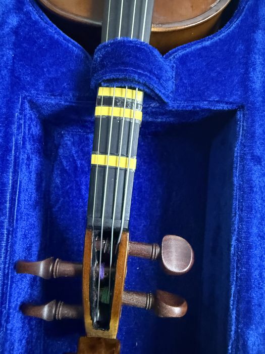 Violino com 6 meses uso 1/2