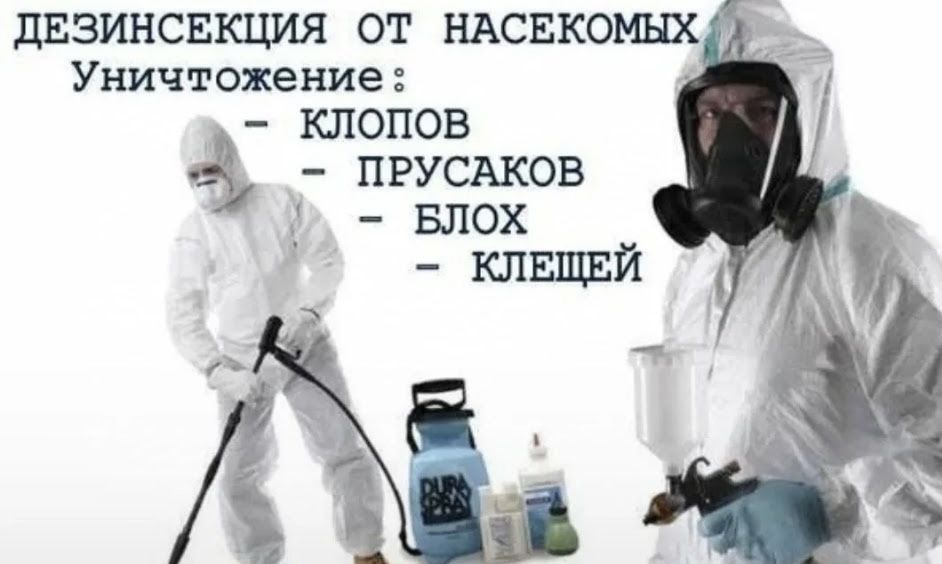 Знищення тарганів,клопів.Уничтожение тараканов,видалення плісняви